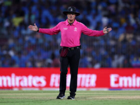 Cricket World Cup Final: Unveiling the Match Officials!